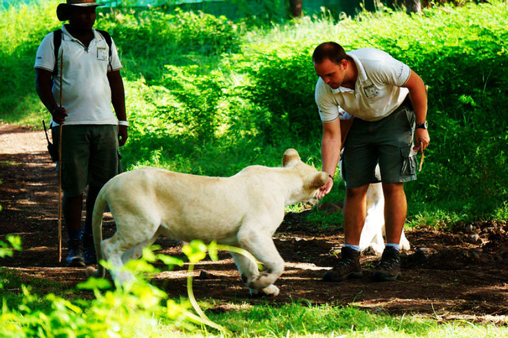 6. Casela Nature Park